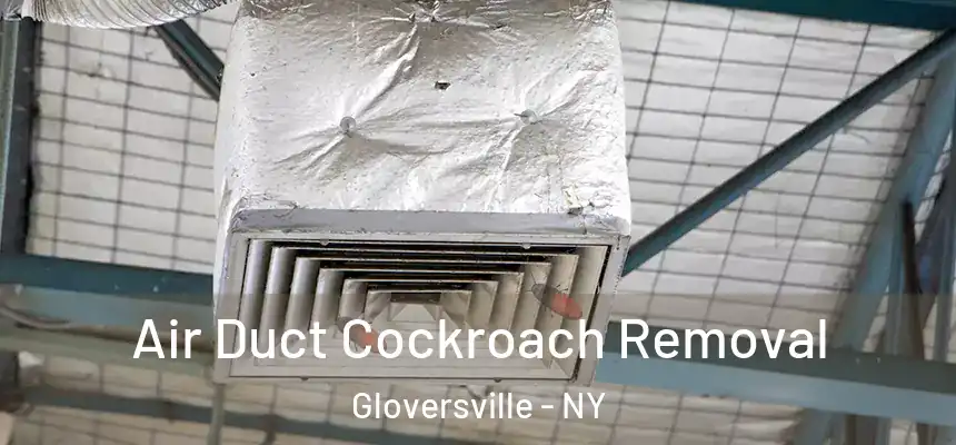 Air Duct Cockroach Removal Gloversville - NY