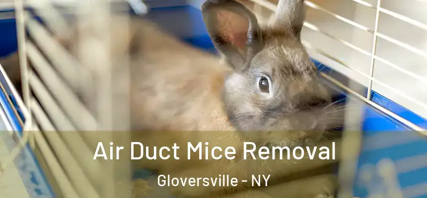  Air Duct Mice Removal Gloversville - NY