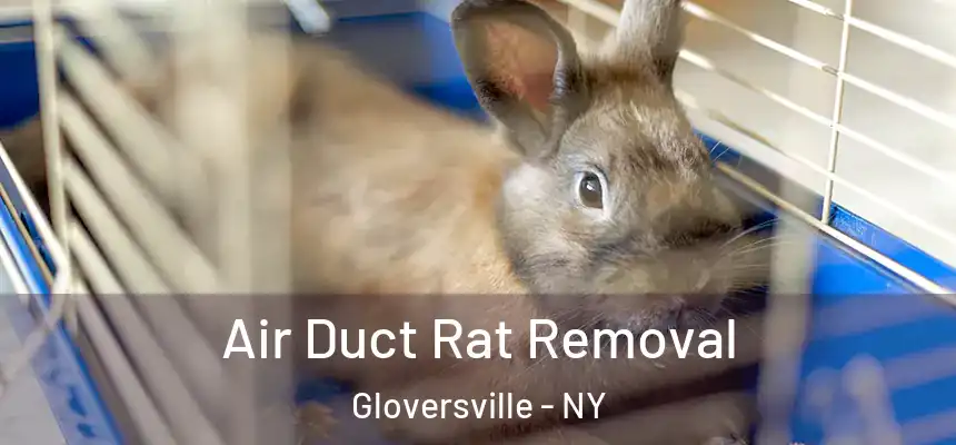  Air Duct Rat Removal Gloversville - NY