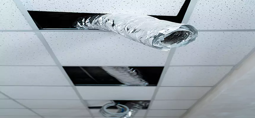 Our Air Duct Pet Hair Removal Services in Gloversville, NY