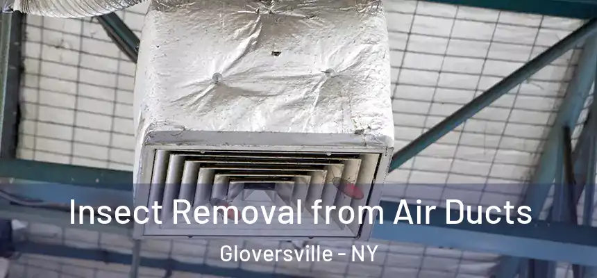 Insect Removal from Air Ducts Gloversville - NY