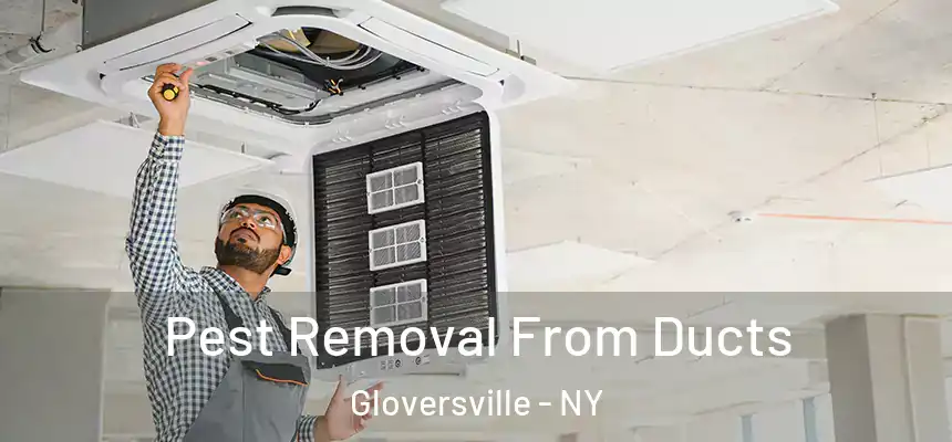 Pest Removal From Ducts Gloversville - NY