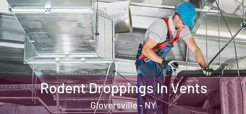 Rodent Droppings In Vents Gloversville - NY