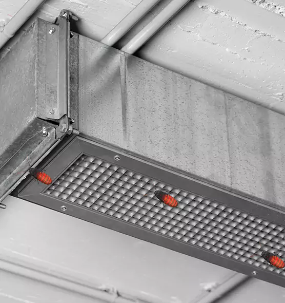 About Air Duct Cockroach Removal in Gloversville, NY