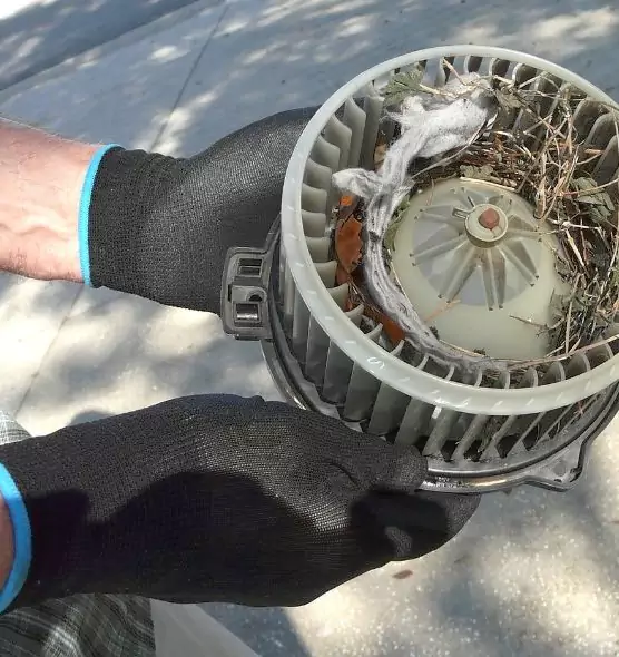 About Air Duct Mice Removal in Gloversville, NY